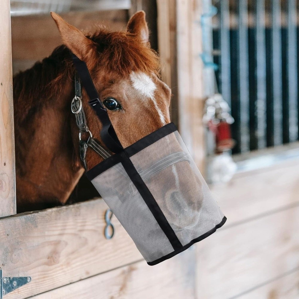 ถุงใส่อาหารม้าหลายสี ป้องกันกา - Mesh Feeder Bag บทวิจารณ์และราคา